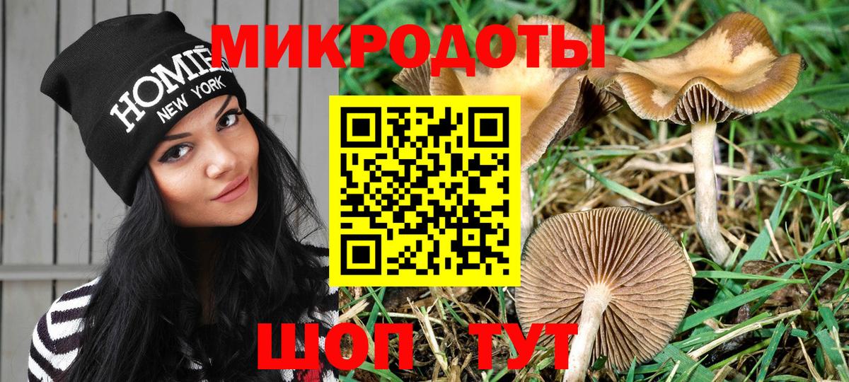 Псилоцибиновые грибы мицелий Мончегорск